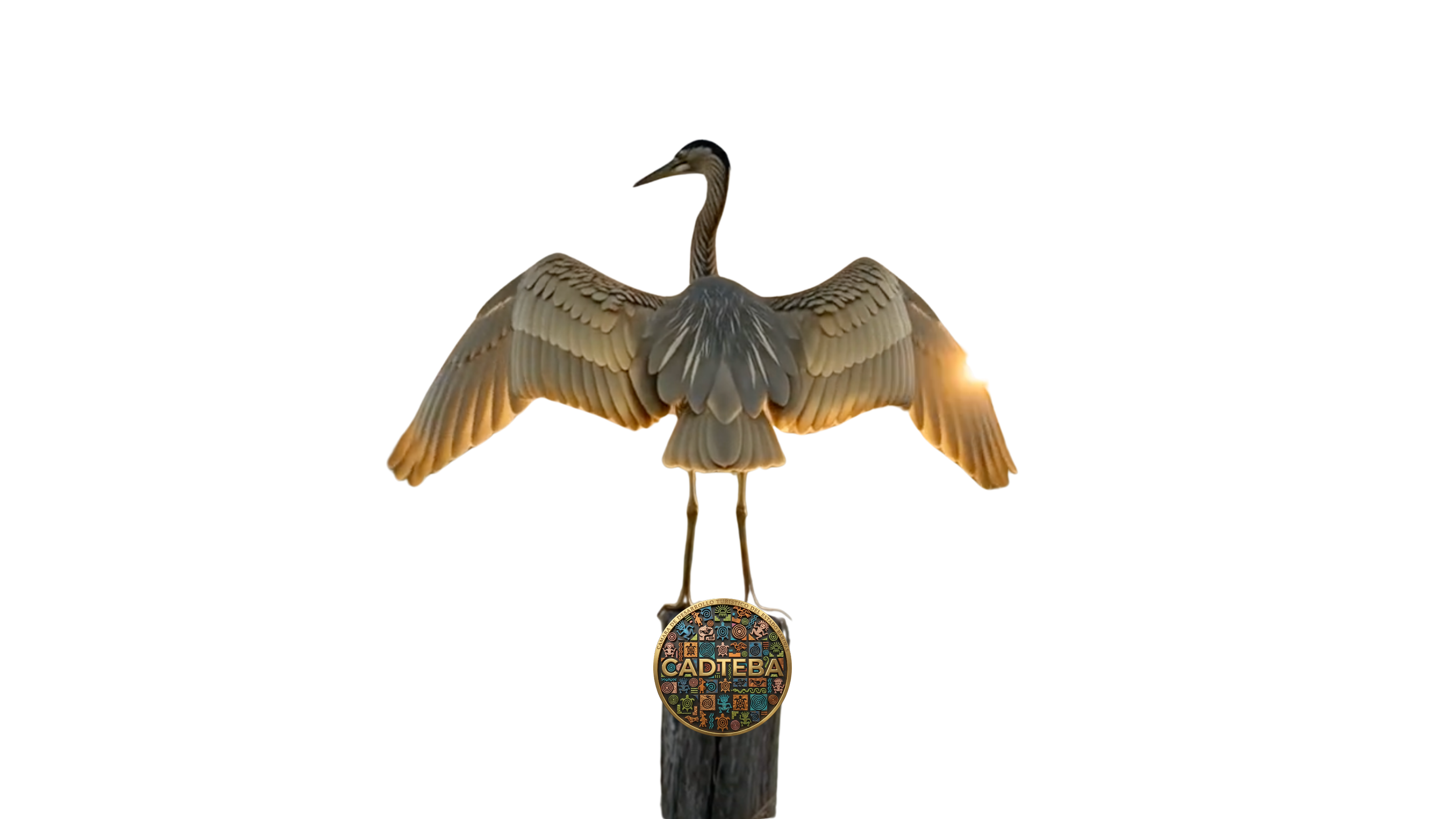 Garza · Kup Vita